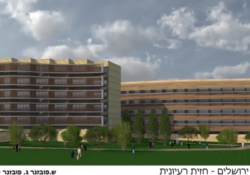 הדמיה גלי צהל copy