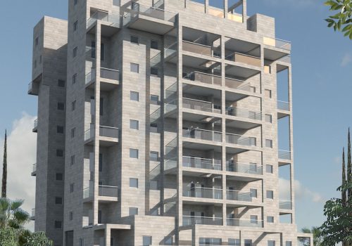 תמונה4
